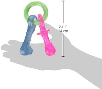 Nylabone Puppy Pacifier Chew Toy, Teething Toys for Puppies