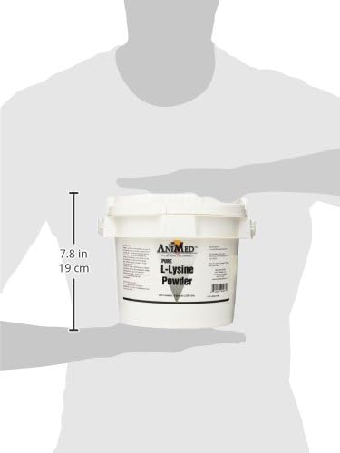 AniMed L-Lysine for Horses