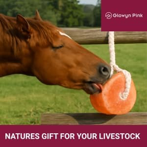 Glowyn Himalayan Salt Lick-Natural Minerals Block on Rope - 4.0 lbs.