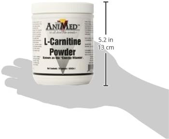 AniMed L-Carnatine 850mg Per Ounce for Horses, 16-Ounce