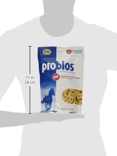 Probios Horse Treats for Digestion Support, 1-Pound