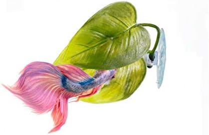 3 Pack Betta Fish Hammock Plant Leaf Pad Fish Spawning Grounds