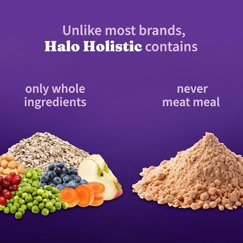 Halo Holistic Dry Dog Food, Vegan Plant-Based Recipe, Superfoods