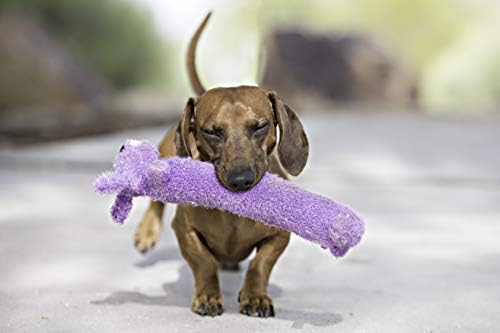 Multipet Loofa Dog Plush Squeaky Toy