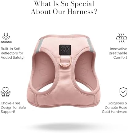 DOGISTRY - SoHo Walking Bundle - Blush Pink - Medium for Small Dogs