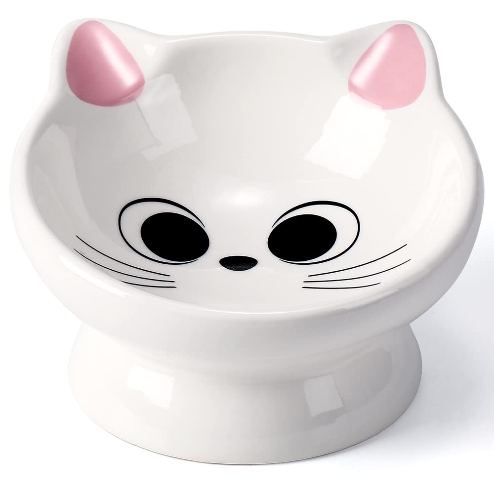 Raised Ceramic Cat Food Bowl, Tilted for Neck Comfort