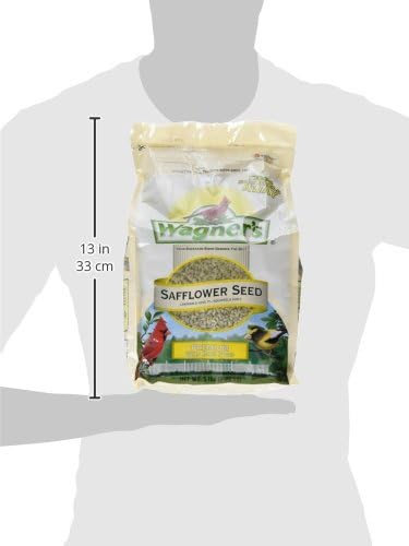 Wagner's 57075 Safflower Seed Wild Bird Food