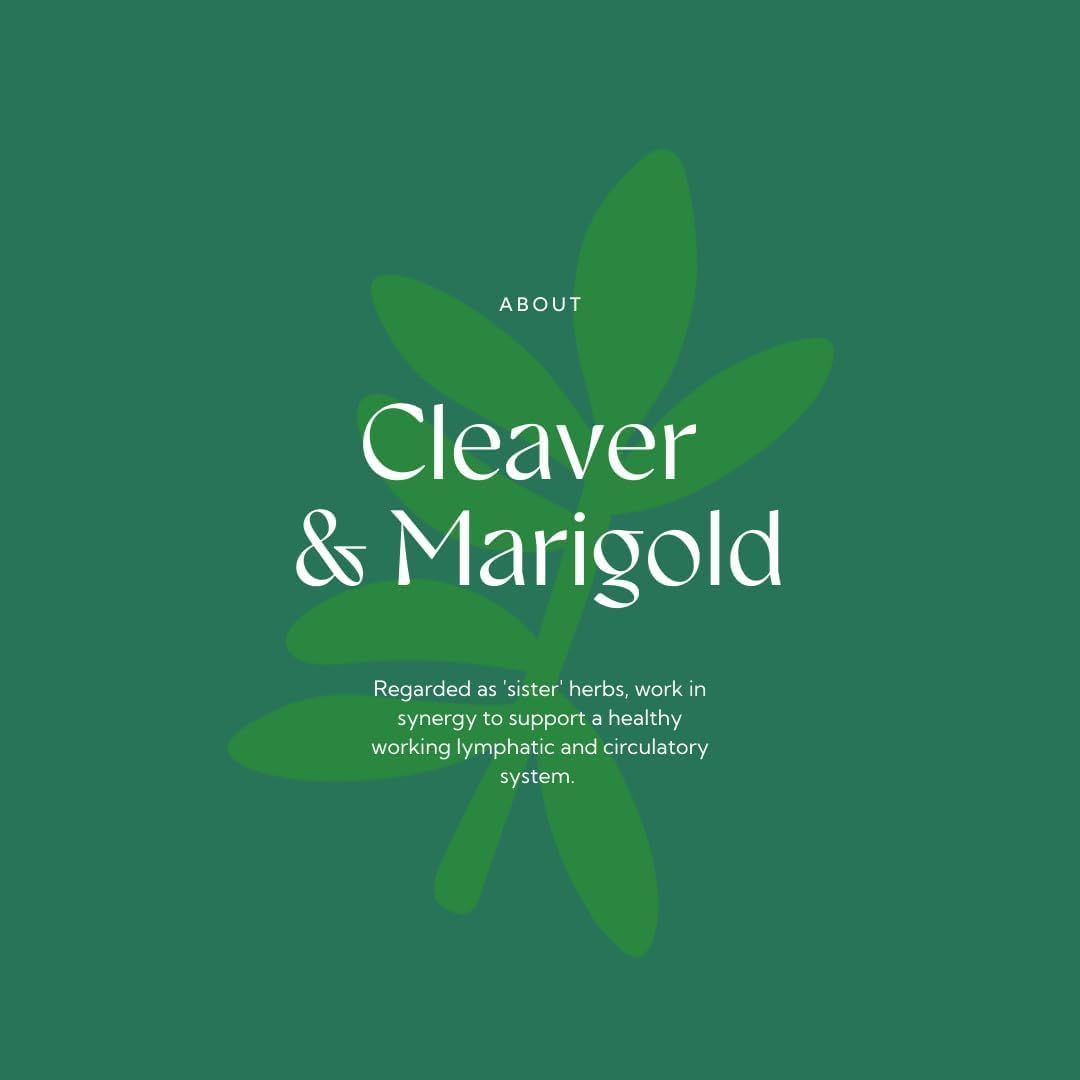 Hilton Herbs Cleavers & Marigold: Lymphatic Support