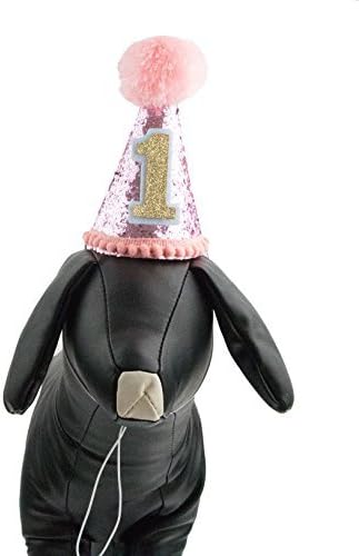 PET SHOW Blue Dog 1st Birthday Party Hat for Small Medium Dogs Boys