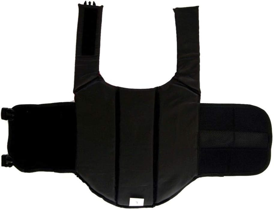 ChezAbbey Dog Life Jacket Adjustable Dog Lifevest Swimsuit Safety