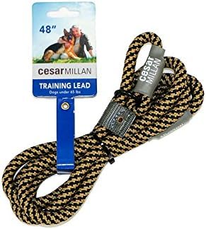Cesar Millan Slip Lead Leash | Dog Leash | in Training Leash