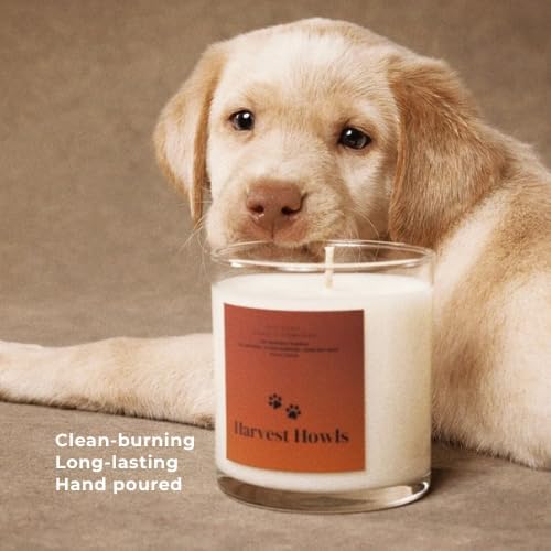 Pet Safe Wax Melts | Non Toxic Soy Wax Cubes for Warmers
