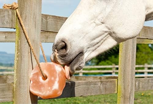 UMAID Himalayan Salt Lick 6 lbs on Rope for Horse, Deer