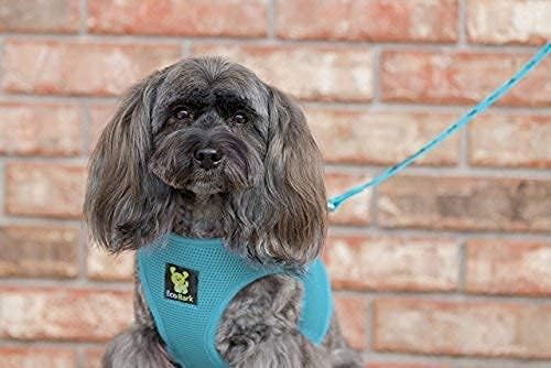 EcoBark Step-in Dog Harness