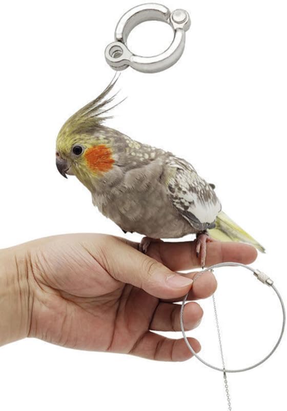 1Pc Bird Foot Chain Flying Stainless Steel Training Rope Outdoor