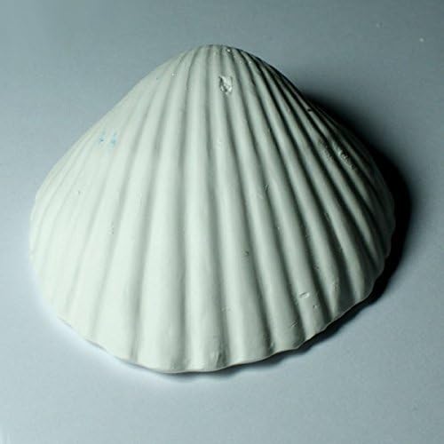 Weco Wonder Shell Natural Minerals, Small - Total of 6 Shells