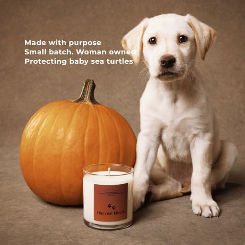 Pet Safe Wax Melts | Non Toxic Soy Wax Cubes for Warmers