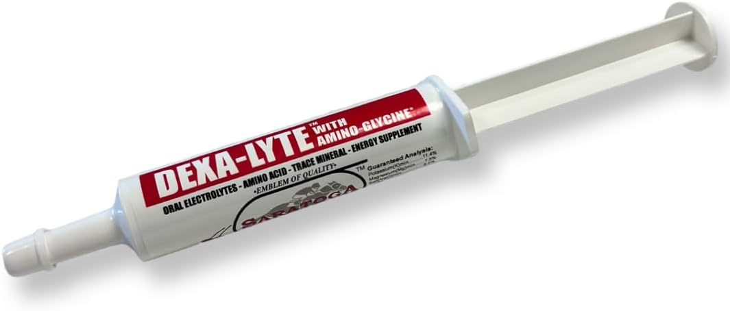 Dexa-Lyte Horse Energy Boost Premium Electrolyte & Amino Acid Energy