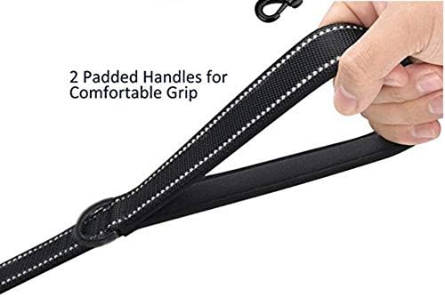 Heavy Duty Dog Leash - 2 Handles by Padded Traffic Handle for Extra