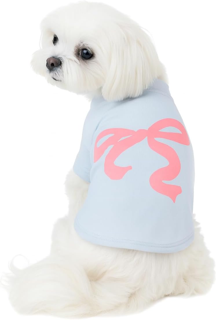 Luxury Designer Dog T Shirt – Trendy Puppy Clothes for Small Dogs