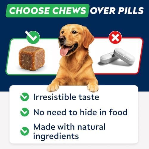 STRELLALAB Dog Allergy & Itching Relief