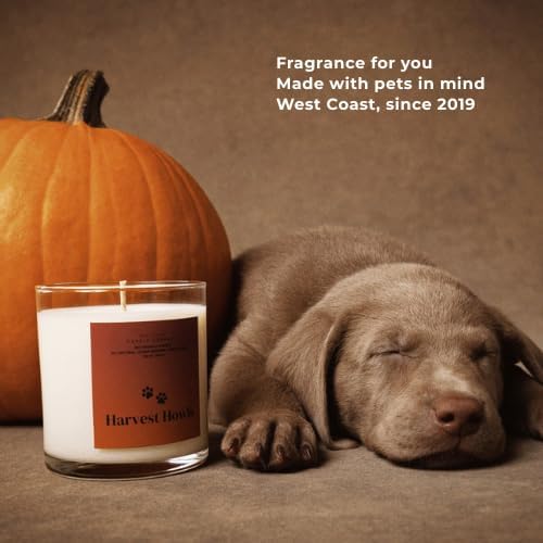 Pet Safe Wax Melts | Non Toxic Soy Wax Cubes for Warmers