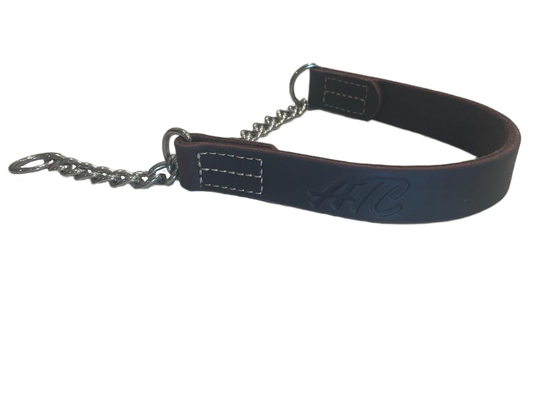 Joel Silverman's Patented Alternative Training Collar