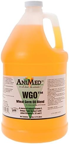 Wheat Germ Oil Blend Horse Supplement, Gallon