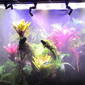 Reptile Mister Nozzles - T Double Misting Assembly