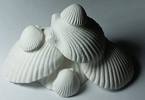 Weco Wonder Shell Natural Minerals, Small - Total of 6 Shells