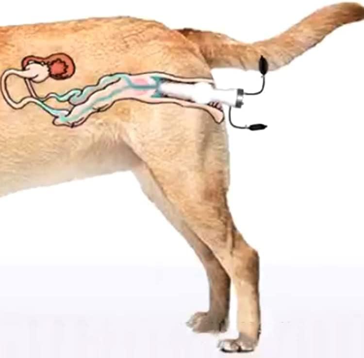 Dog Artificial Insemination Kit for 44-88 lb Dogs in Home Breeding
