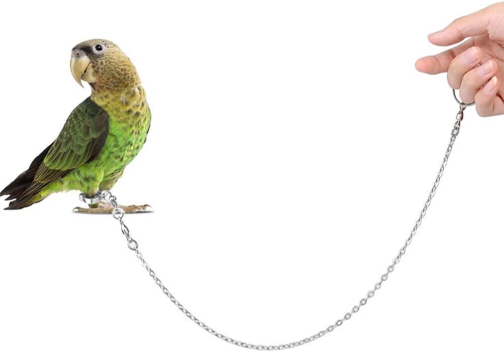 1Pc Bird Foot Chain Flying Stainless Steel Training Rope Outdoor