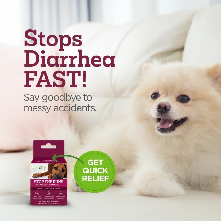 Vetality Stop The Runs | Dog Anti Diarrhea Medicine | 6 Count Chewable