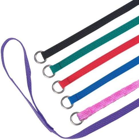 Downtown Pet Supply Slip Lead Dog Leash 6 Pack, 4' x 1/2"