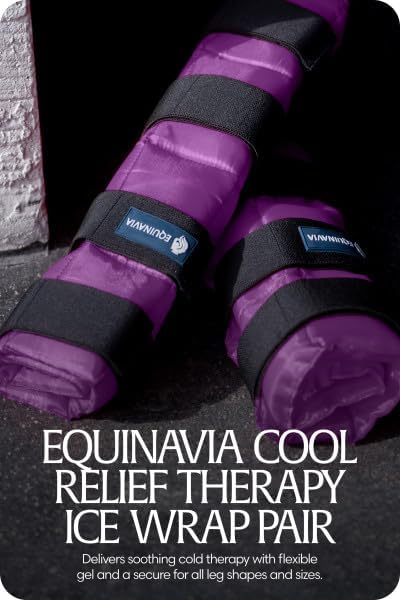 Equinavia Cool Relief Therapy Ice Wrap, Recovery Horse Ice Boots