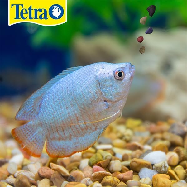 TetraMin Tropical Granules Fish Food for Mid-Feeding Fish, 3.52 oz