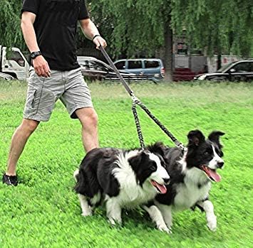 Double Dog Leash for Two Dogs - No Tangle