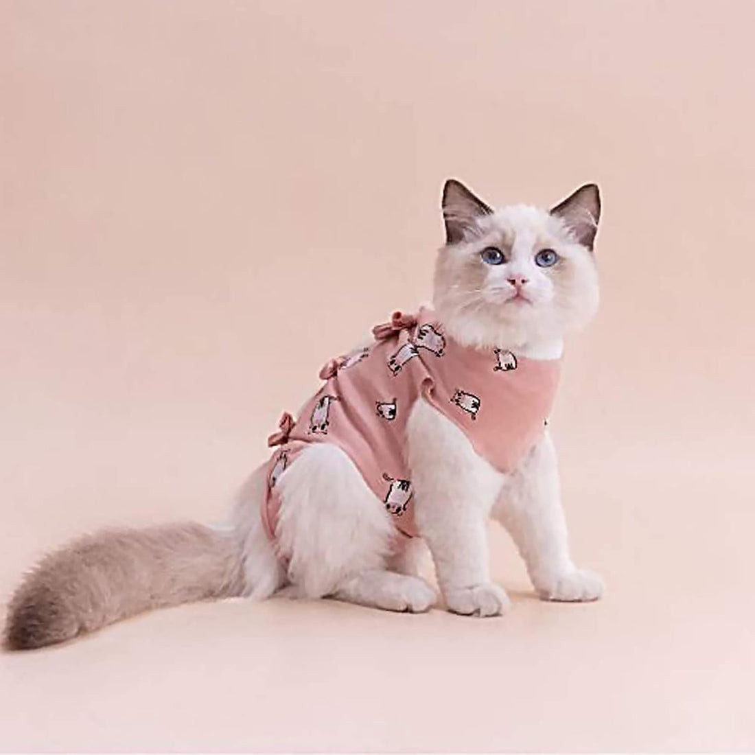 PUMYPOREITY Cat Recovery Onesie - Post-Surgery Kitten Suit, Female
