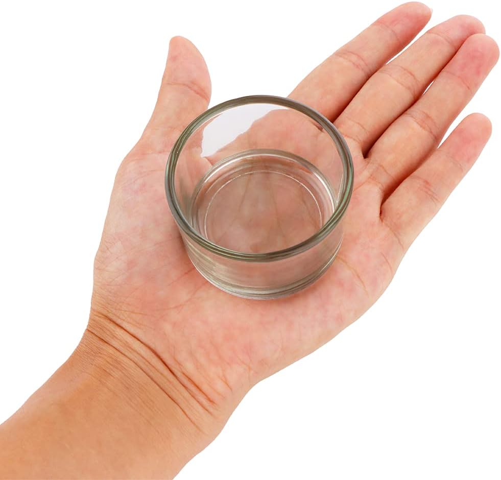 2 Pcs Hamster Food and Water Bowl Glass Anti-Turning Transparent Dish