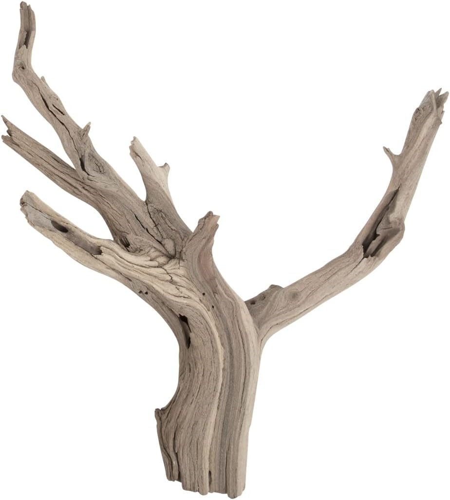 Koyal Wholesale 12” Driftwood Terrarium Decor