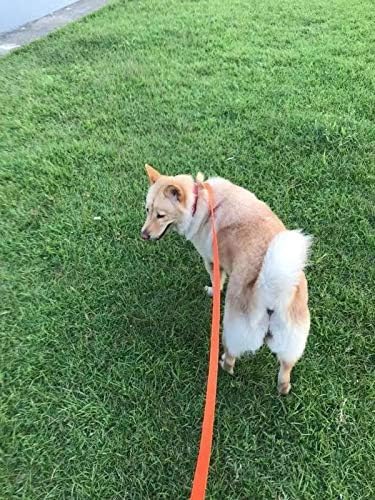 AMAGOOD Dog Leashes for Large