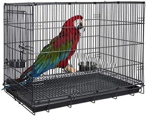 Large Easy Portable Durable Metal Travel/Veterinary Parrot Bird
