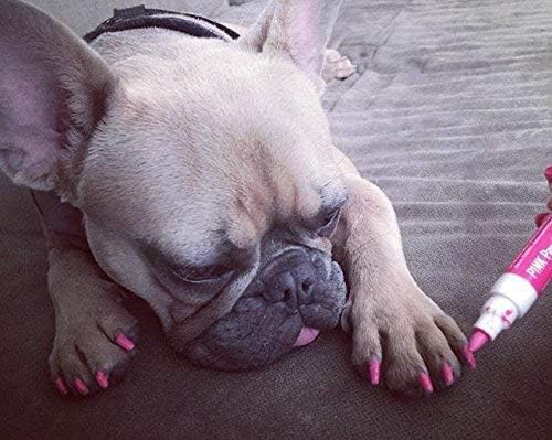 Warren London Pawdicure Dog Nail Polish Pens | Made in USA | Quick Dry