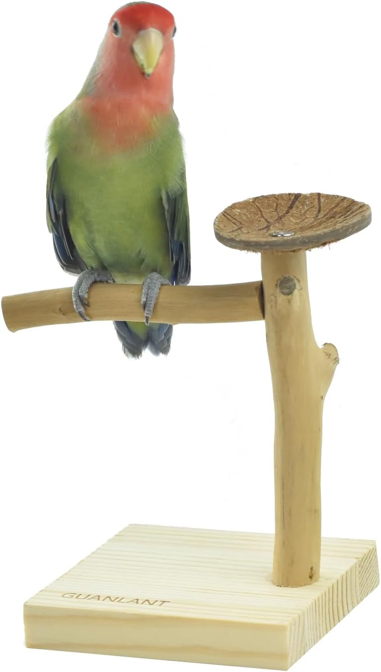 Wood Bird Stands Feeder Toys, Tabletop Portable Training Parrots Perch
