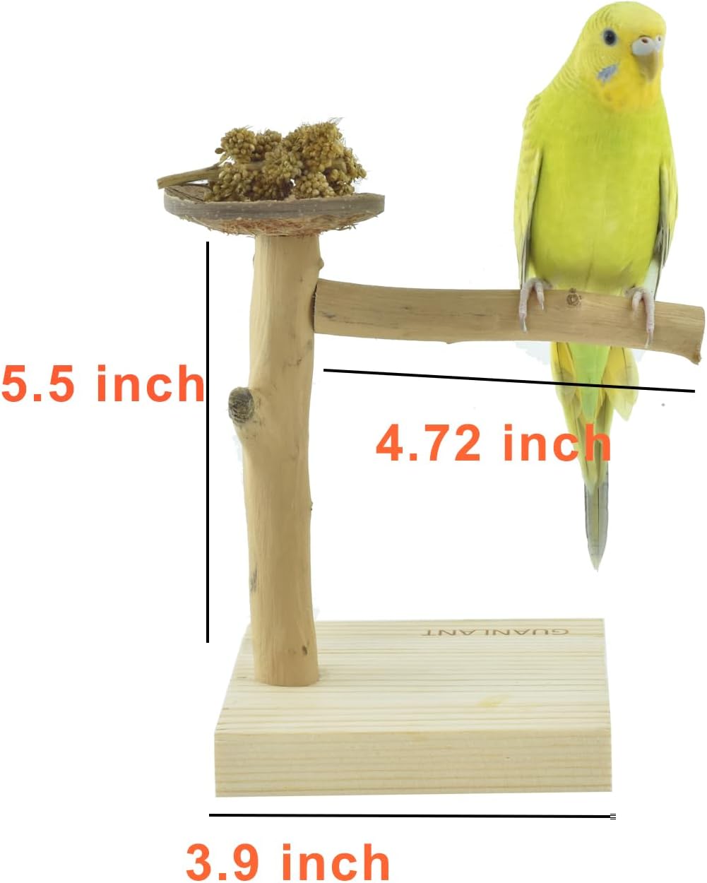 Wood Bird Stands Feeder Toys, Tabletop Portable Training Parrots Perch