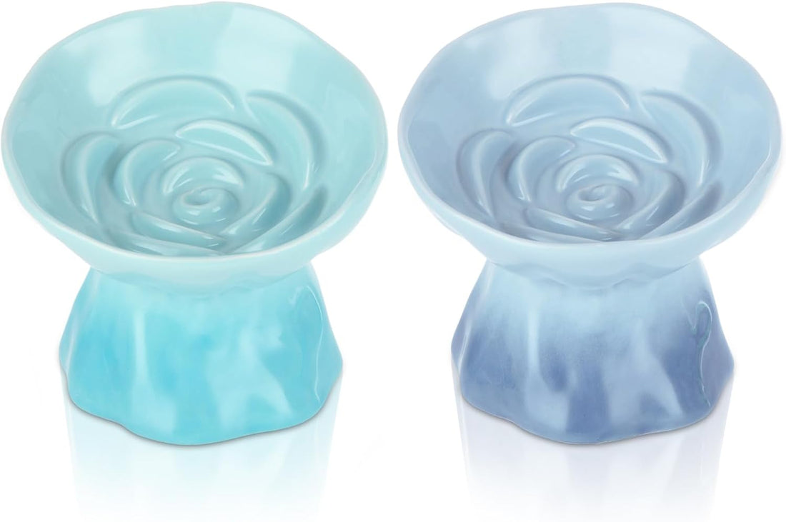 STARVAST 2 Pack Ceramic Slow Feeder Cat Bowl, Elevated