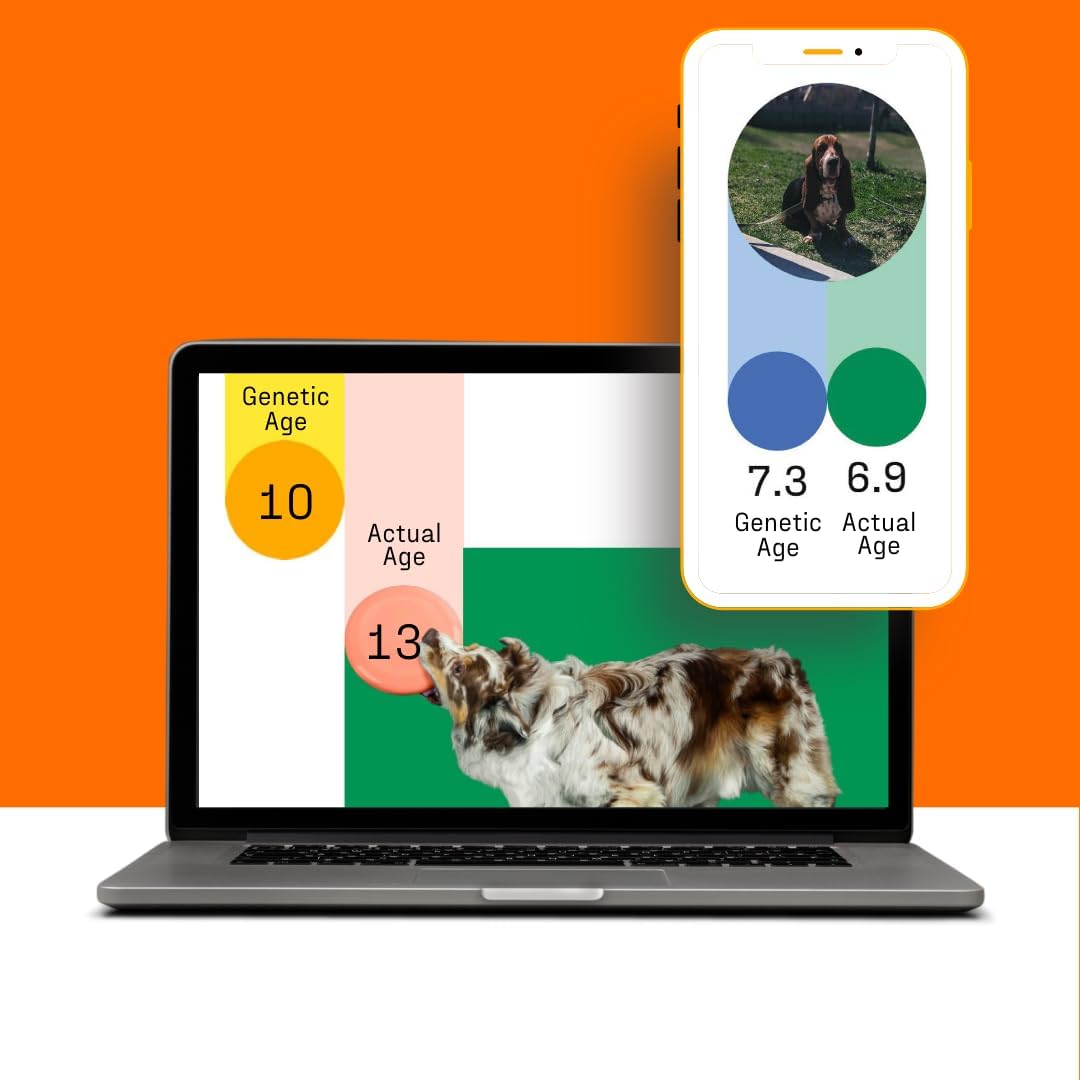 DNA My Dog Premium Dog DNA Test – Identify 350+ Breeds
