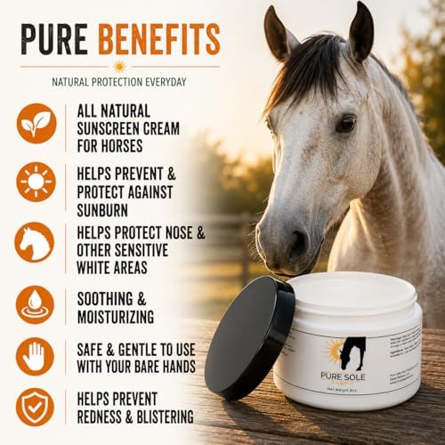 Horse Skin Summer Protection Bundle