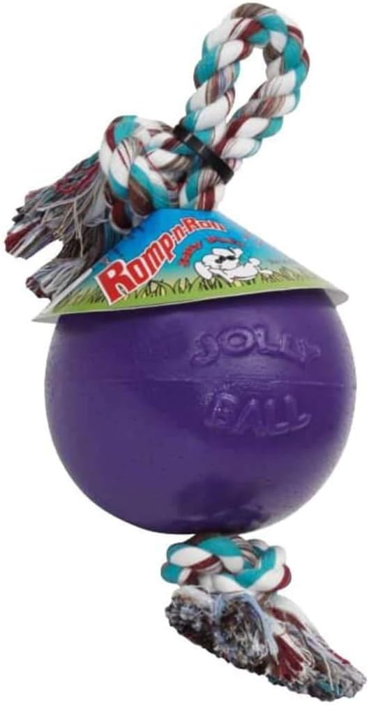 Jolly Pets Romp-N-Roll Rope & Ball Dog Toy, 8 in Large