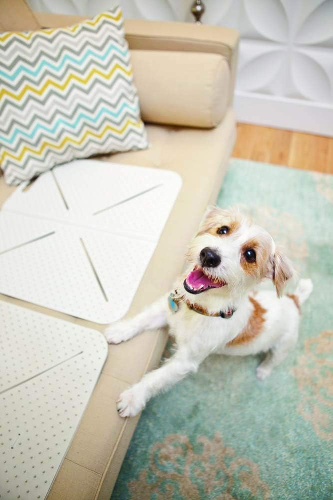 Mammoth Pet Products X-Mat Foldable Training Mat, 18-Inch, Beige